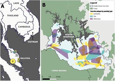 Using a crime prevention framework to evaluate tiger counter-poaching in a Southeast Asian rainforest